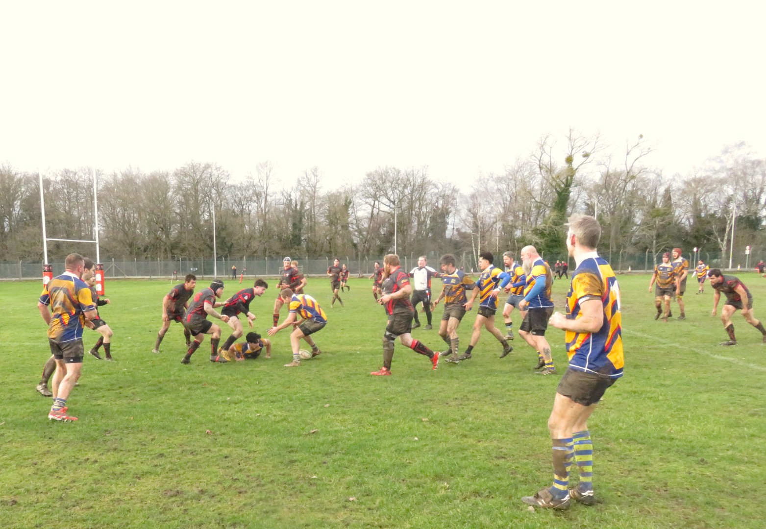 Berkshire Shire Hall RFC